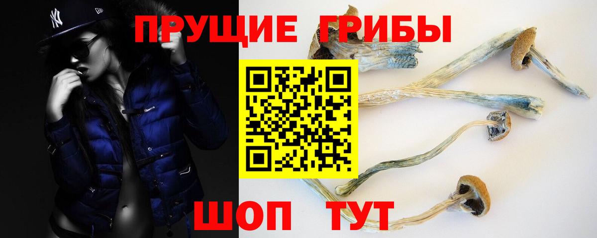 Галлюциногенные грибы GOLDEN TEACHER  Вход с VPN  Абакан  Галлюциногенные грибы MAGIC MUSHROOMS 
